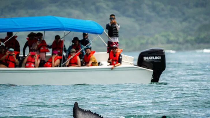 The 13 Best Things to Do In Uvita, Costa Rica